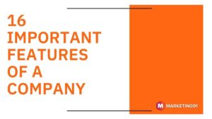 Important Features of a Company