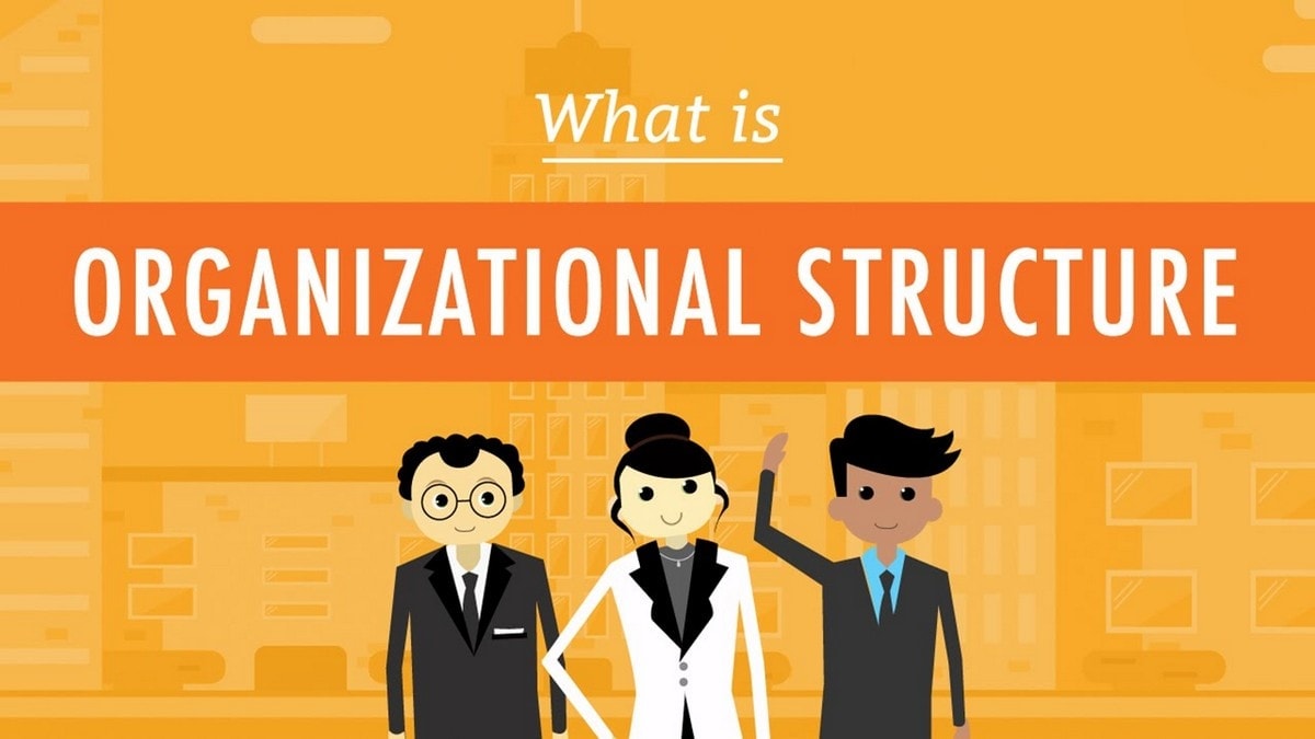 Common Types Of Organizational Structures