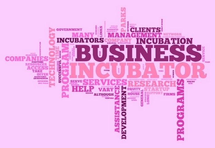 Business Incubator - 1