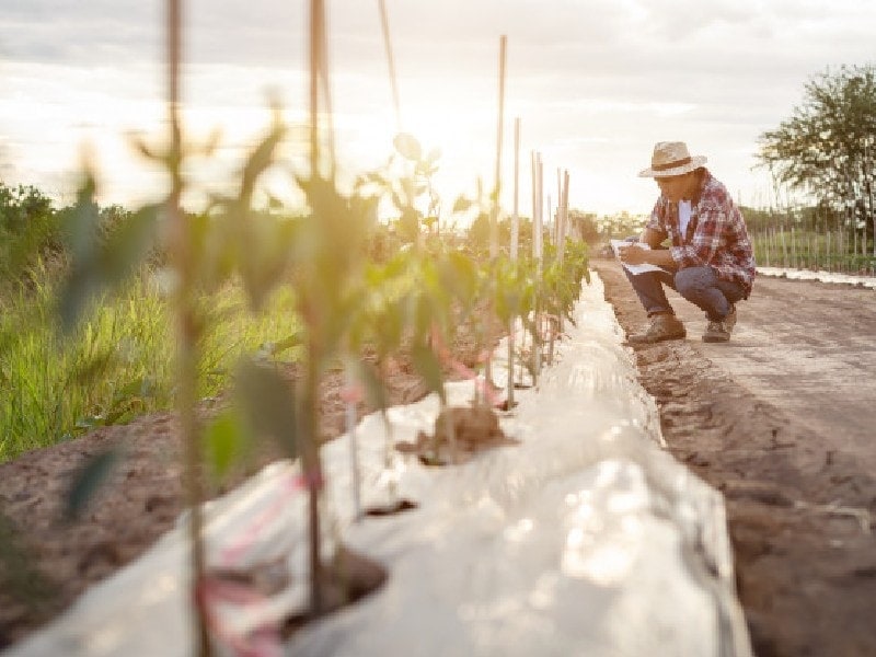 Servicescape Meaning Examples Elements Approach And Roles Servicescape Meaning Examples Elements Approach And Roles