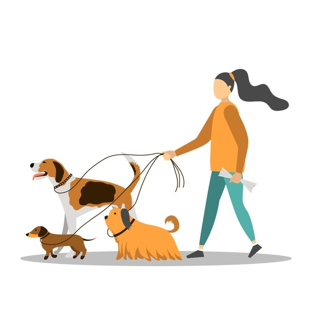 Dog walker how to start a business