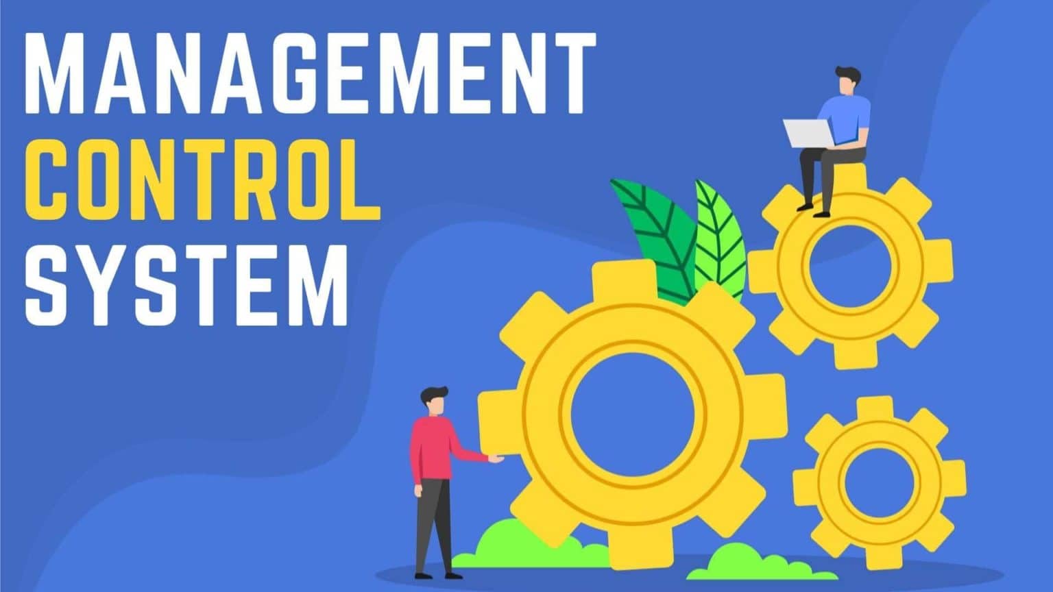 case study on management control system