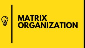 What is Matrix Organization