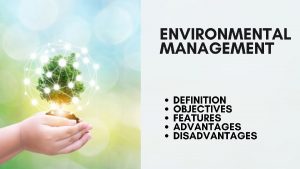 What are Environmental management
