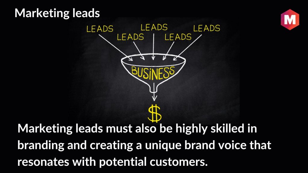 What is Marketing Lead