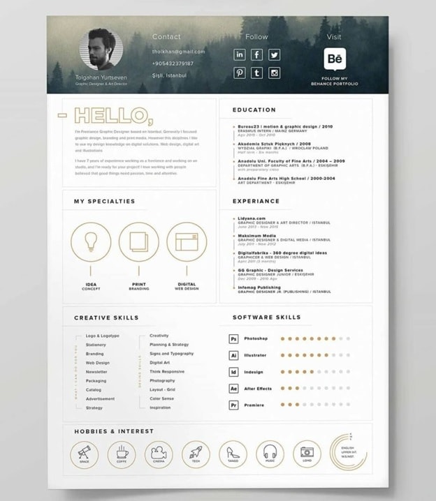 Fog Iconic Resume Template