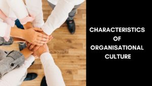Characteristics of organizational culture