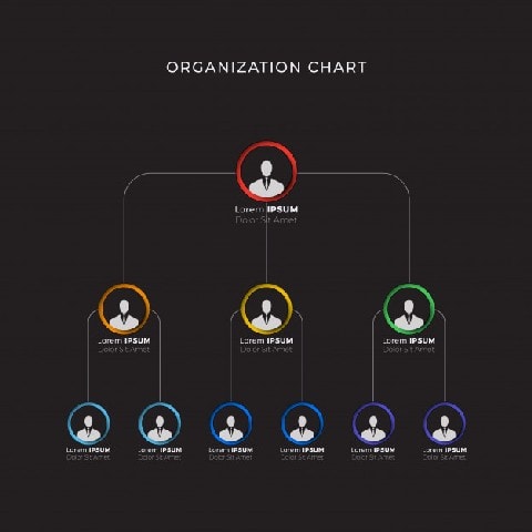 Structure of the organisation