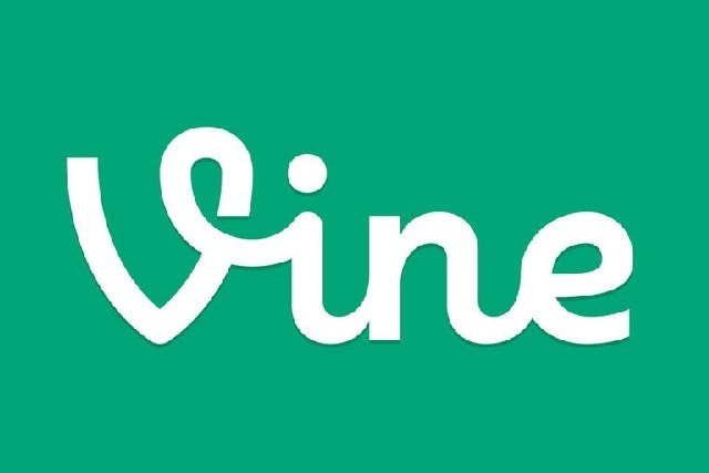 Vine