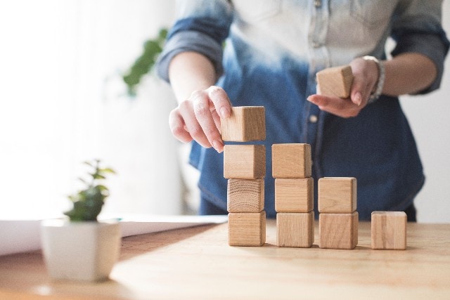 Introduction to the Business Plan