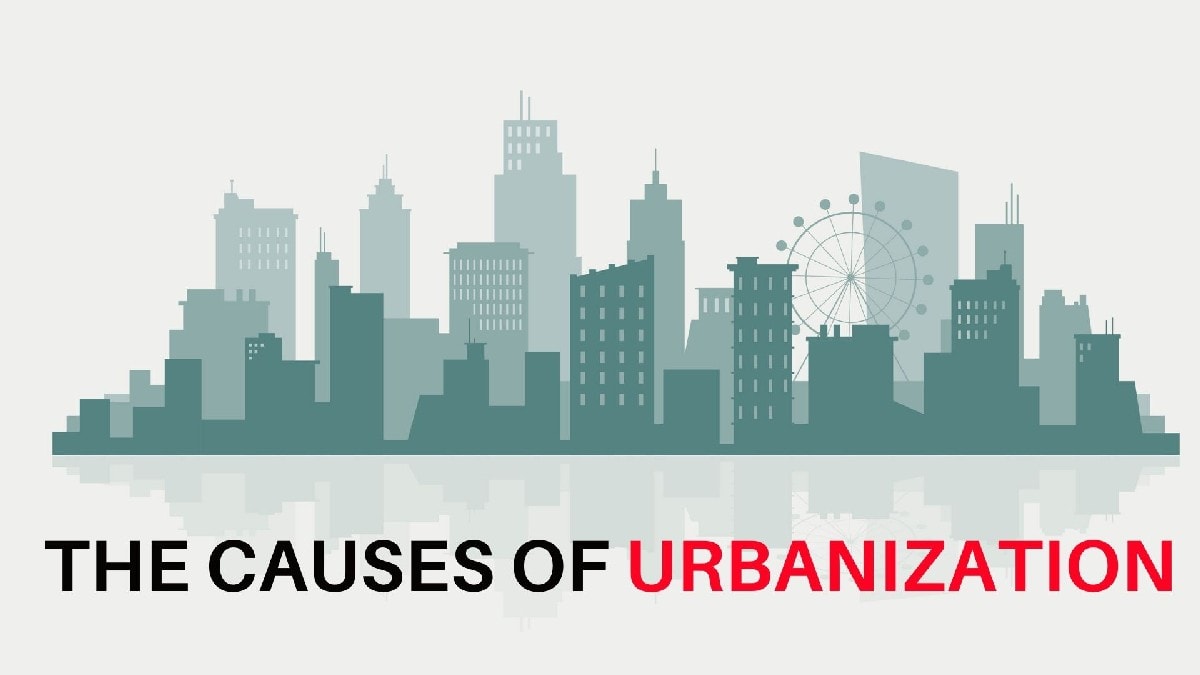 causes and effects of urbanization essay