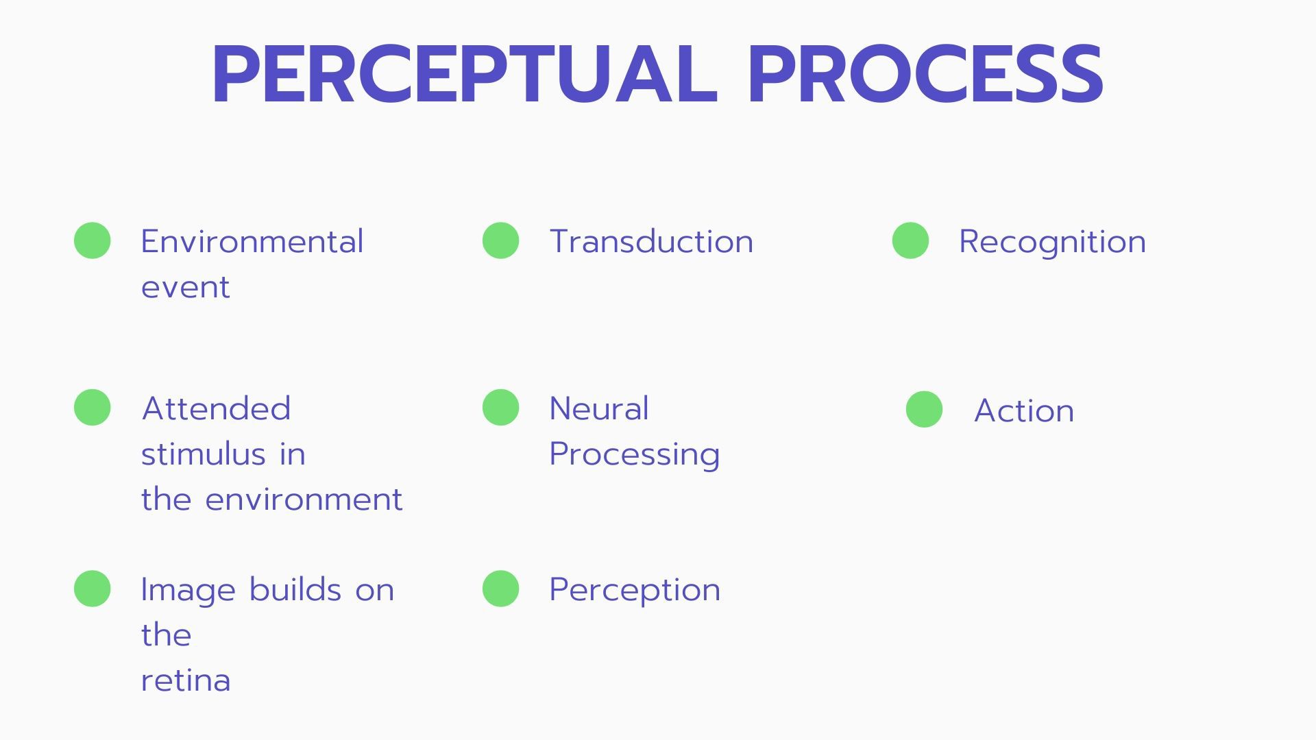 describe the perception process