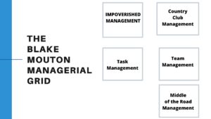 The Blake Mouton Managerial Grid