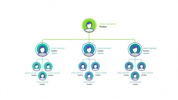 Types of an Organizational chart