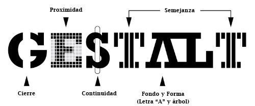 Role of theory in Visual Perception