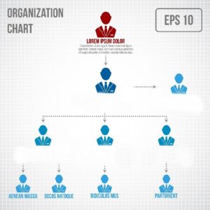 Organizational chart infographic