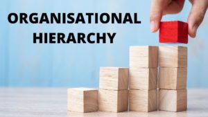 What is Organizational Hierarchy