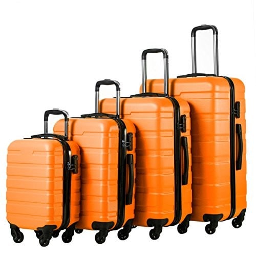 AmazonBasics Luggage