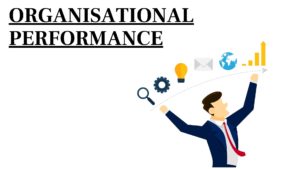 What is Organizational Performance