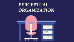 What is Perceptual Organizational