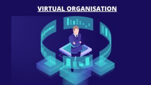 What is Virtual Organization