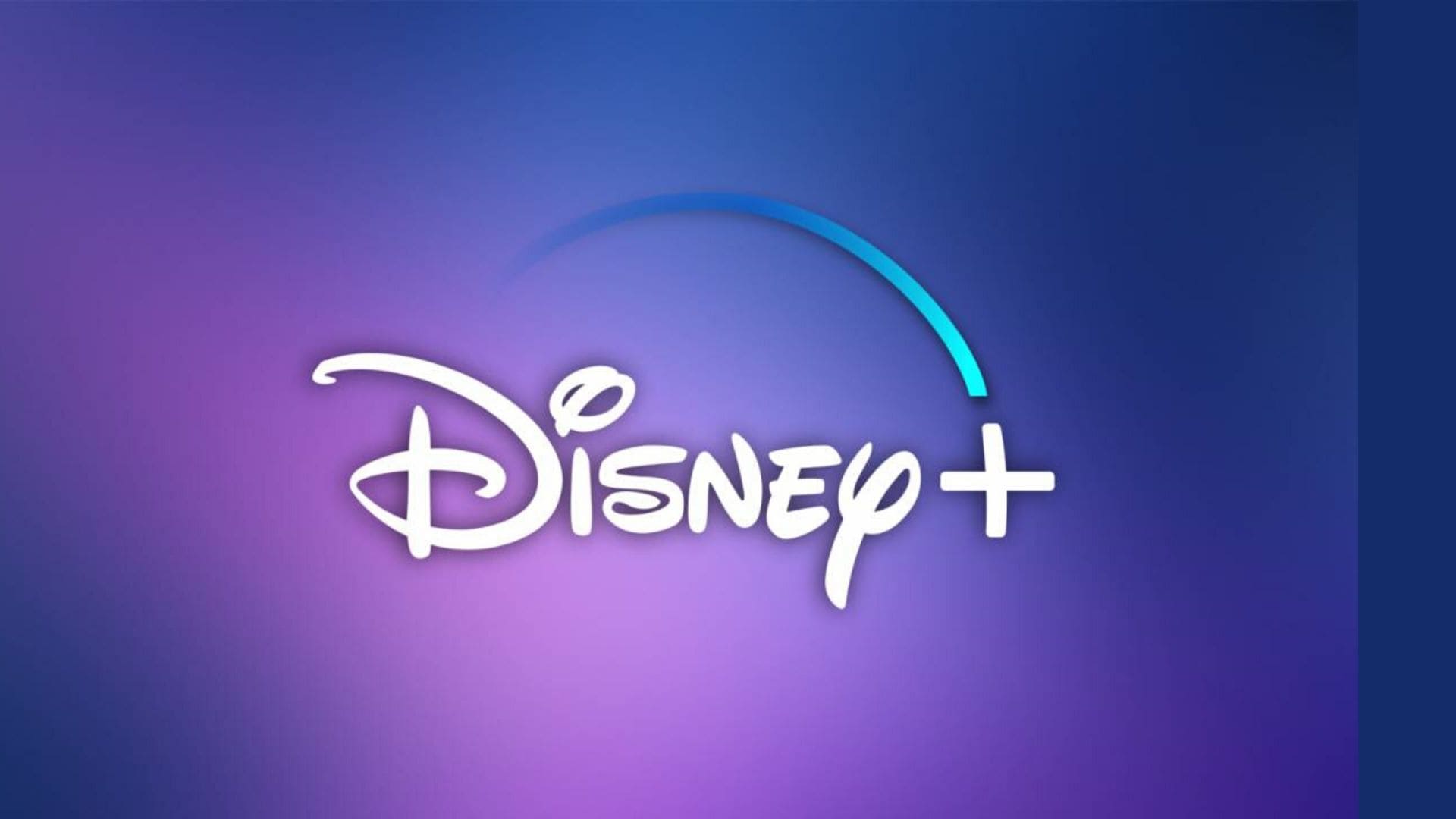 Disney Hub Disney Hub