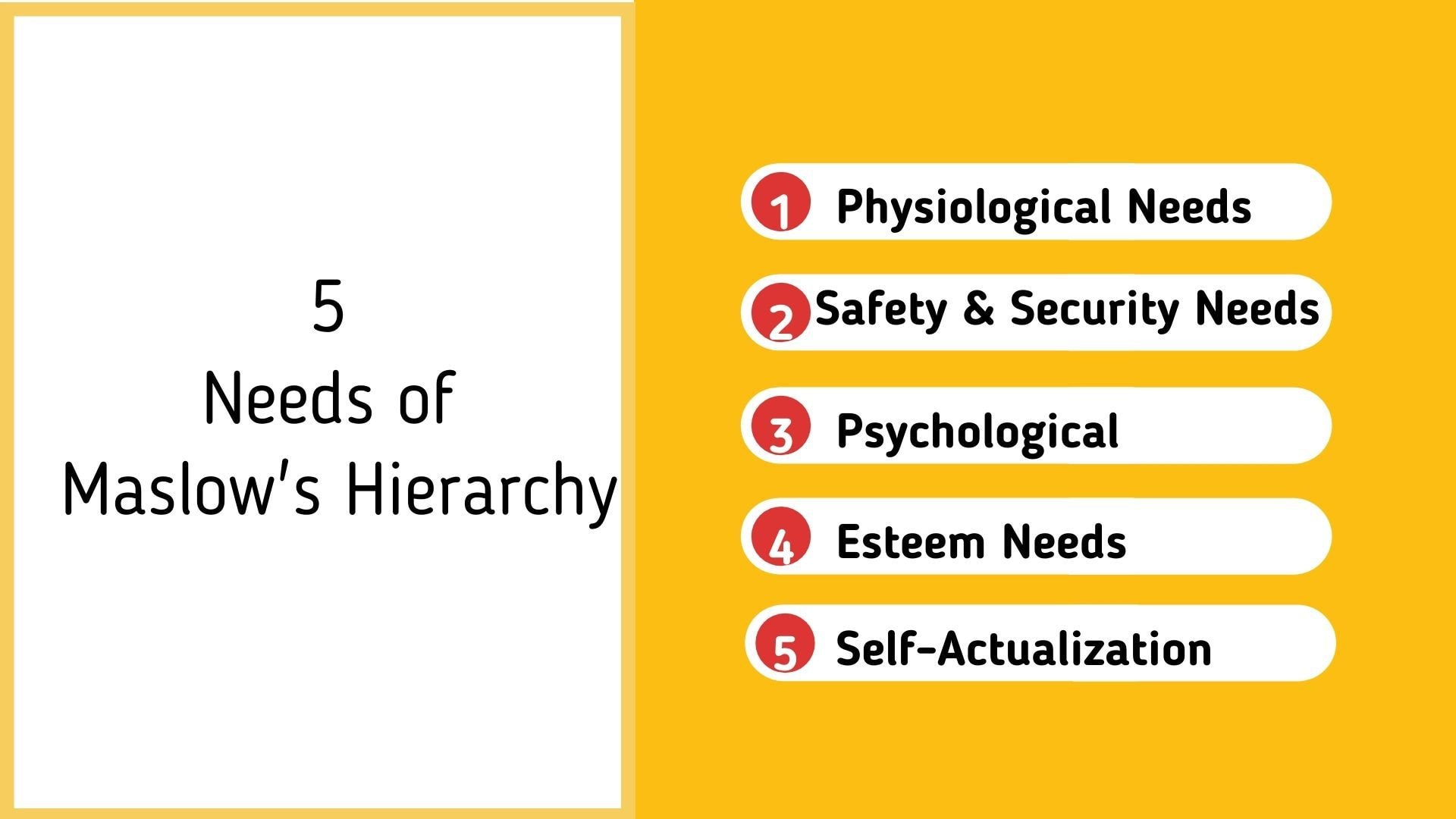 5 Needs of Maslow's Hierarchy