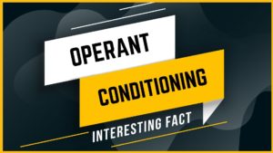 Operant Conditioning