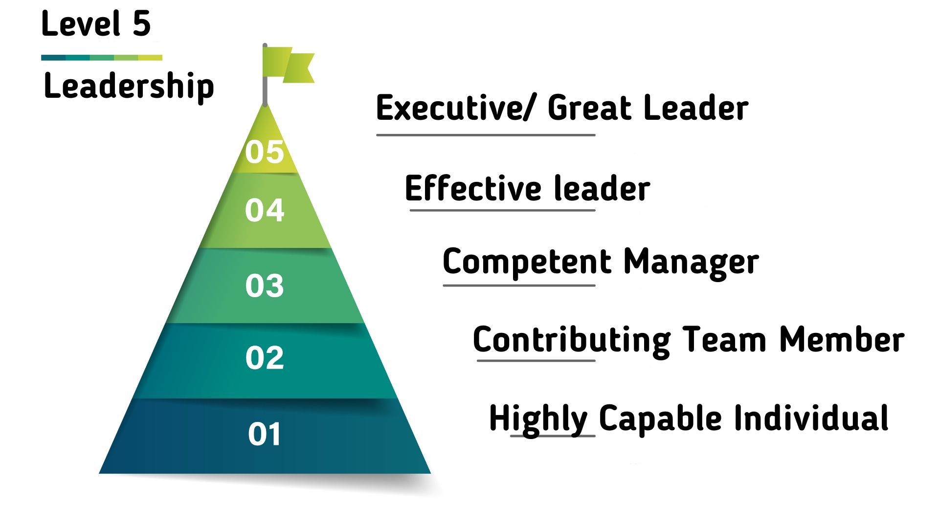 Hierarchy of Level 5 Leadership