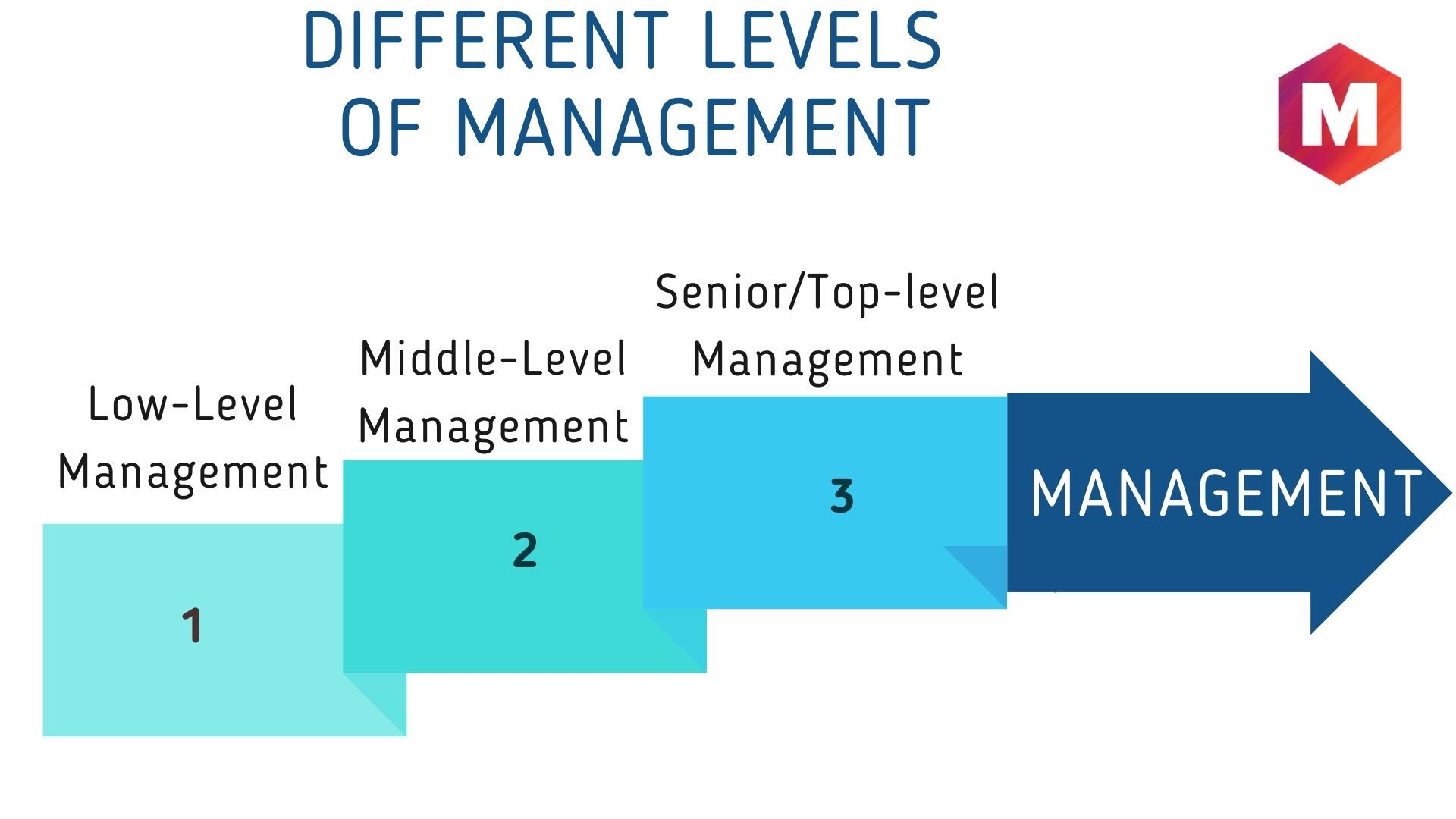 What are the different levels of Management