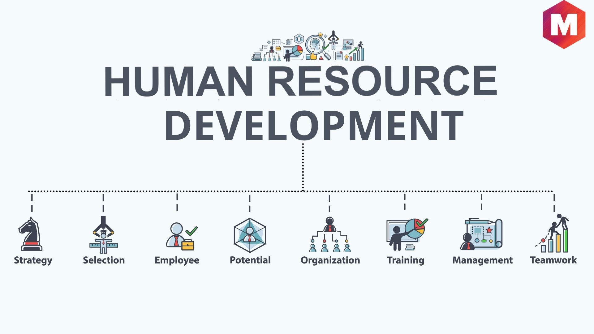 human resource development in india essay