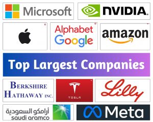 Top Largest Companies