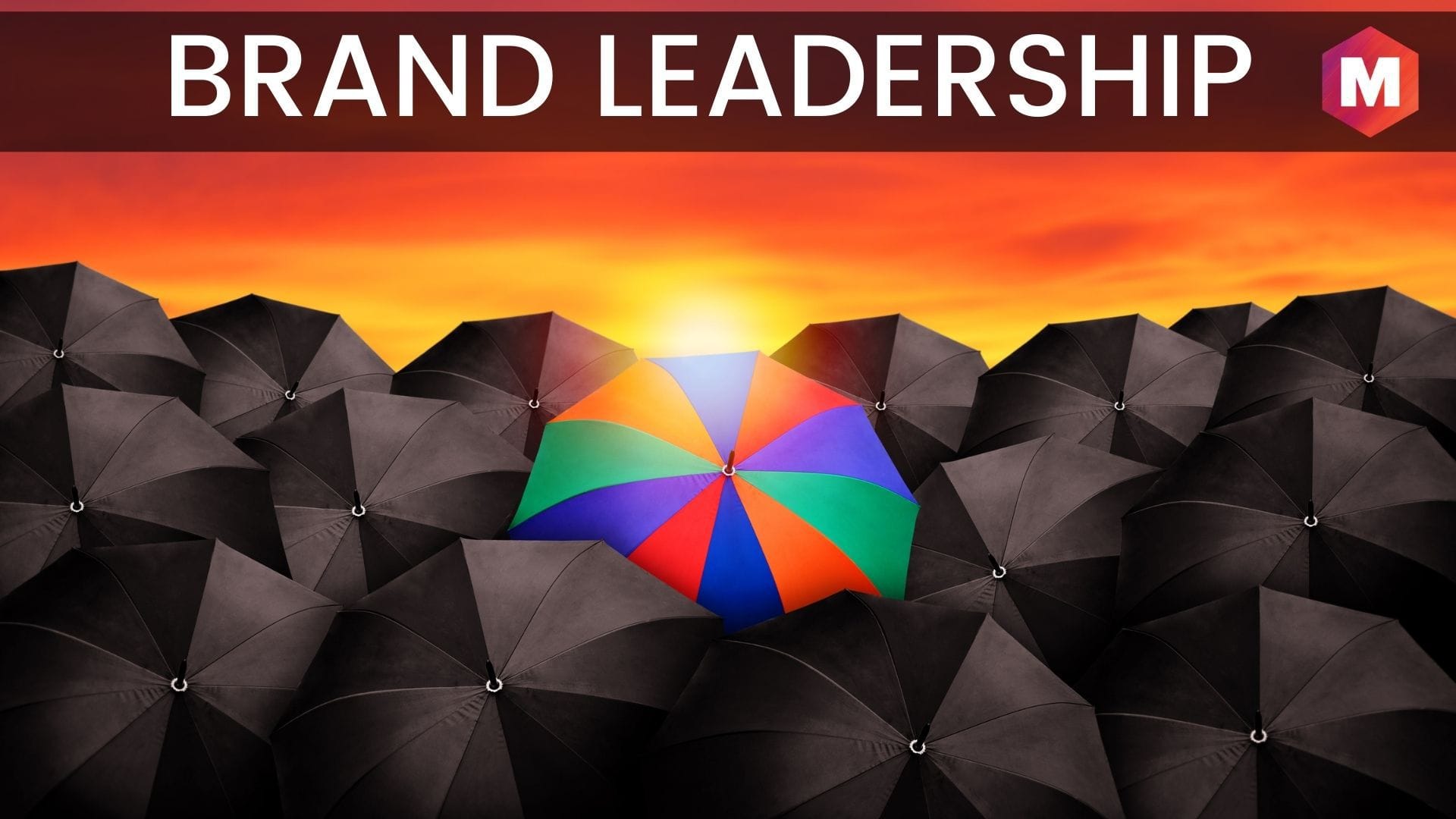 Brand Leadership Definition Importance Advantages And Examples 