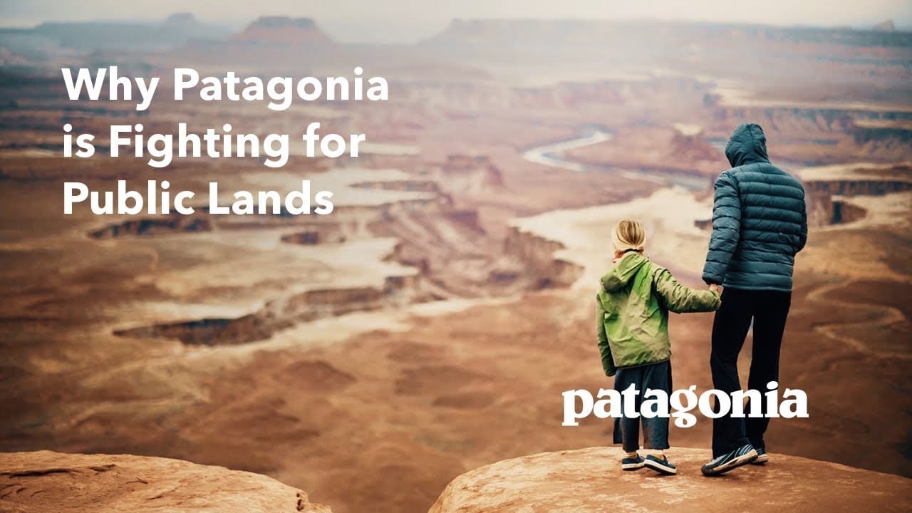 Patagonia top Sustainable clothing brands in The World
