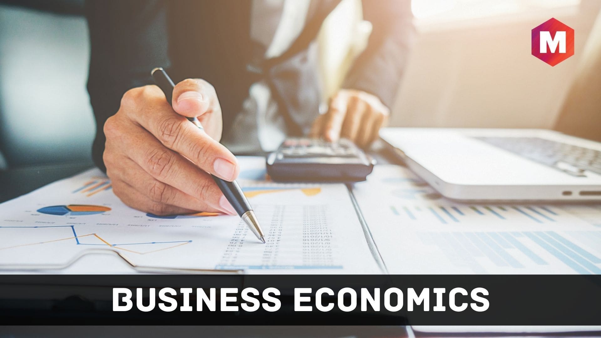 Business Economics - Definition, Features and Types | Marketing91