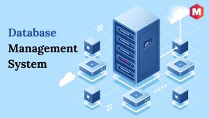 Database Management System