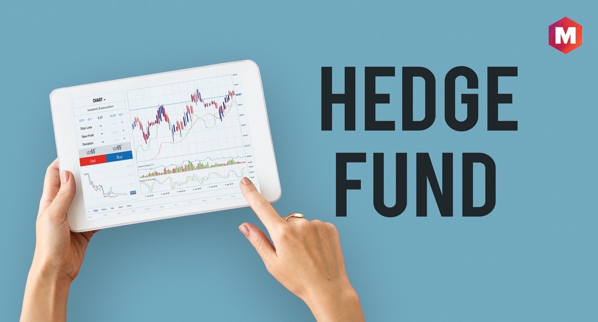 Examples of a Commingled Fund