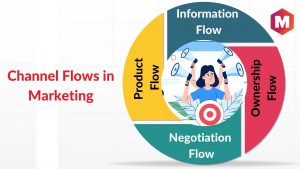 Channel Flows in Marketing
