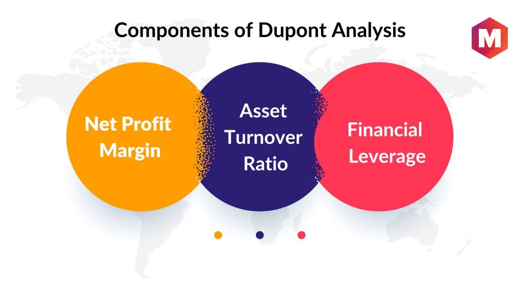 Components of Dupont Analysis