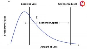 Economic Capital