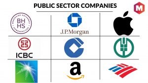 Public Sector Companies