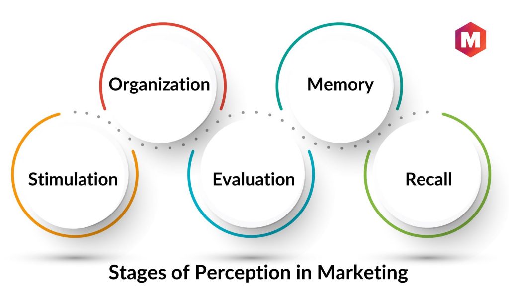 Stages of Perception in Marketing