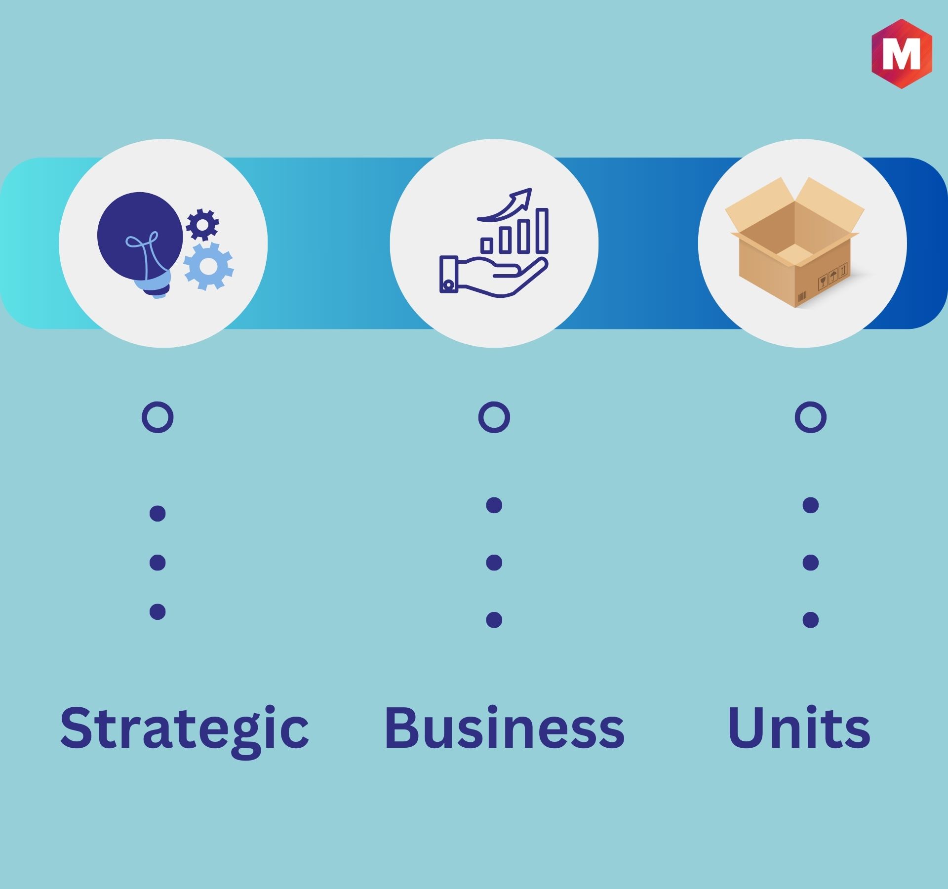 What are Strategic Business Units? Definition, Types & Examples ...