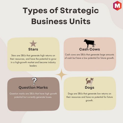 Types of Strategic Business Units