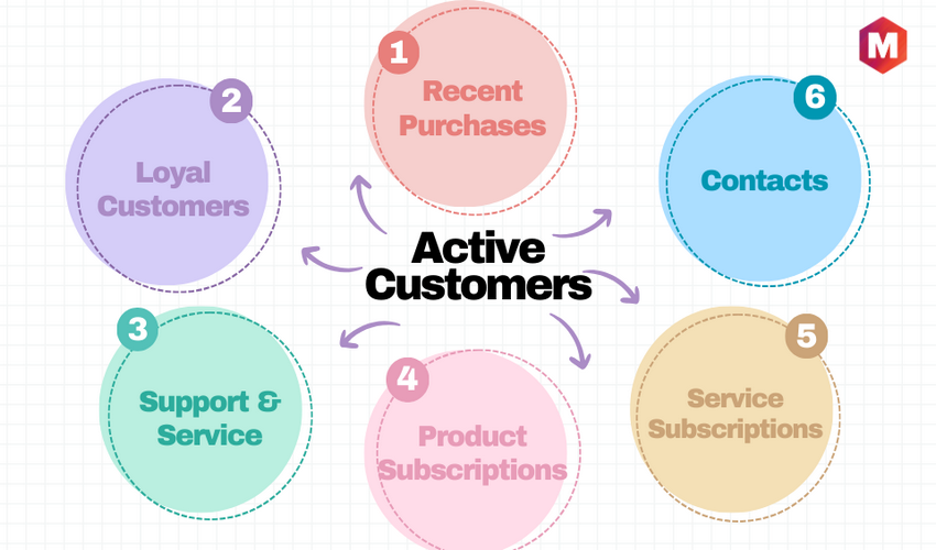 Types of Active Customers