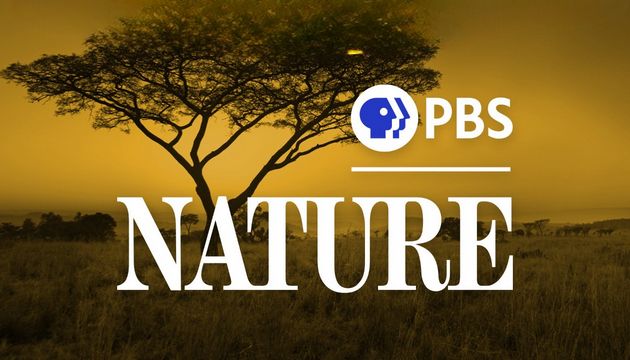 PBS Nature