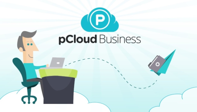 pCloud Business