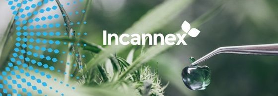 Incannex Healthcare