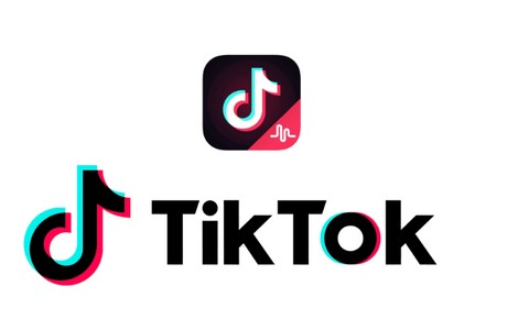 TikTok_Douyin (media)