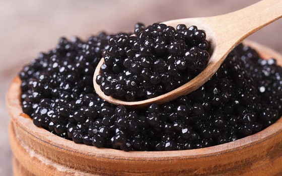 Beluga Caviar